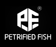 Petrified Fish